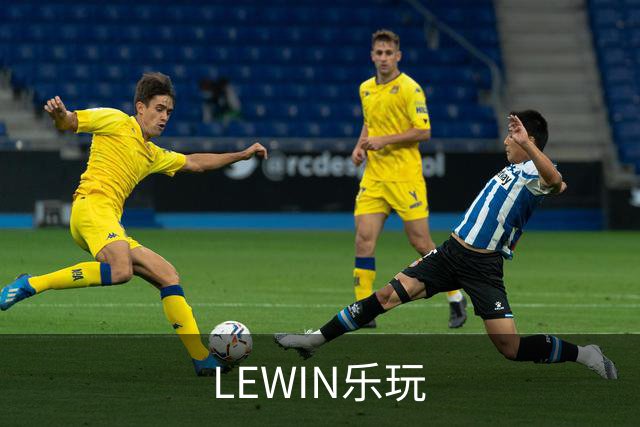 LEWIN乐玩公司简介图片